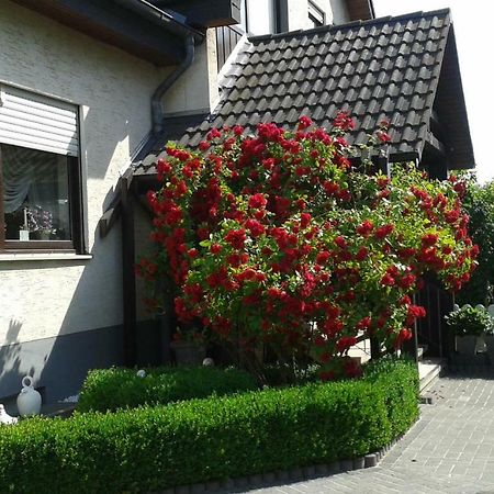 Ferienwohnung Raupe Fritzlar Eksteriør billede